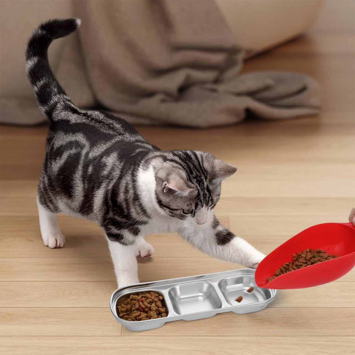 2pcs Stainless Steel Compartment Pet Food Bowls M654586