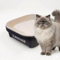 Black Sifting Cat Litter Box E60282