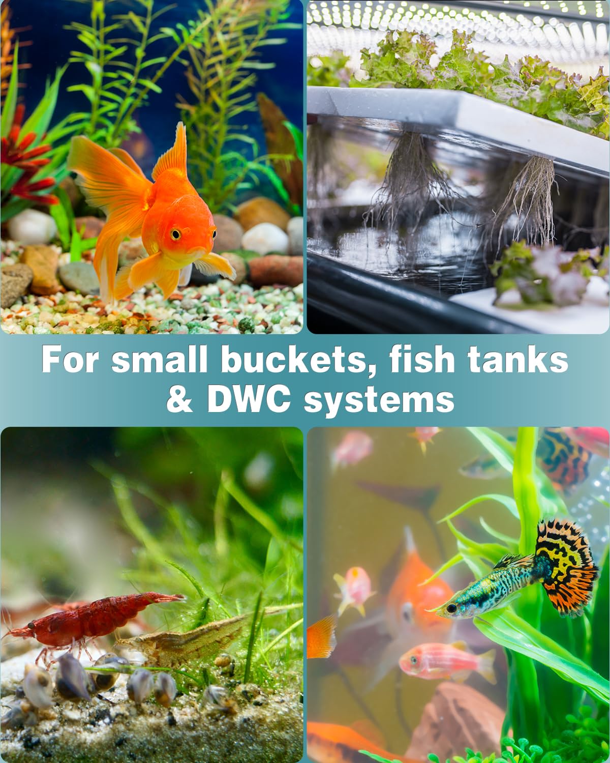 1 Inch Aquarium Air Stone 10 Pack J71202
