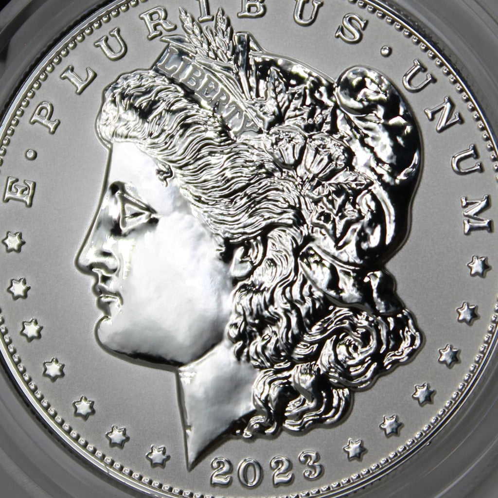 American Silver Morgan and Peace Dollar $1 S282