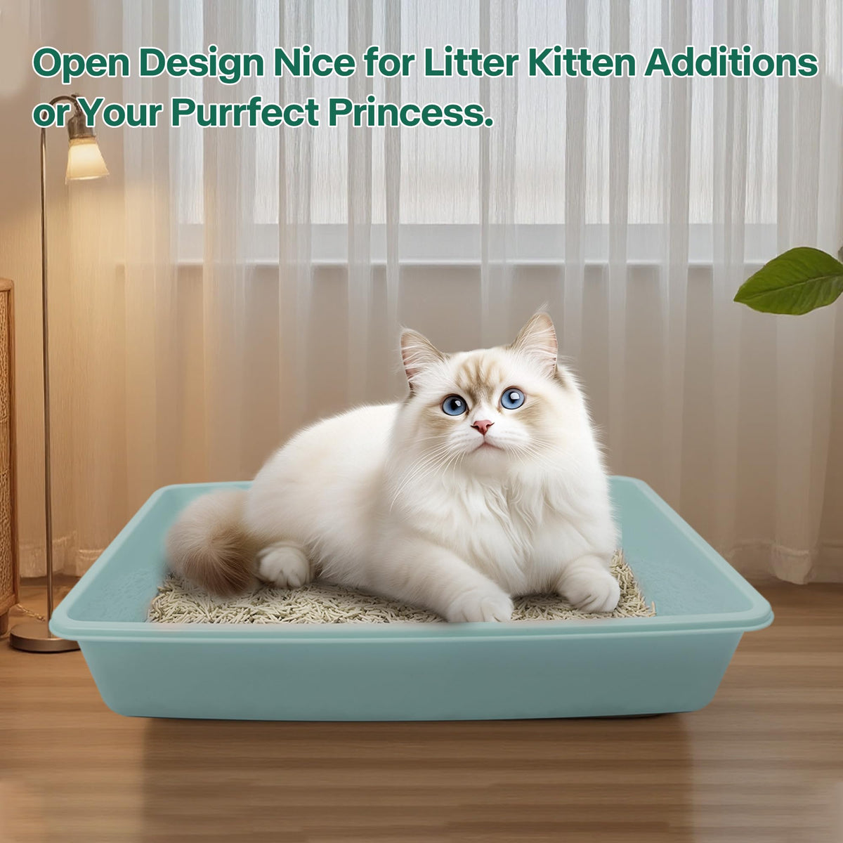 Small Cat Litter Box Starter Kit with Scoop, Bowls and Toys G23279