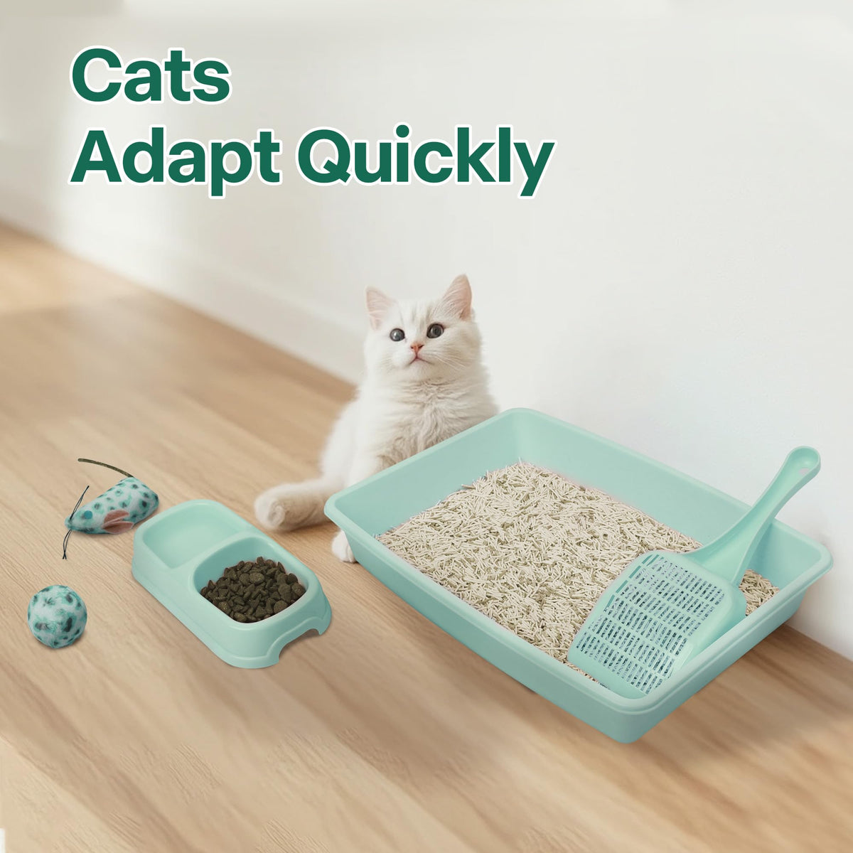 Small Cat Litter Box Starter Kit with Scoop, Bowls and Toys G23279