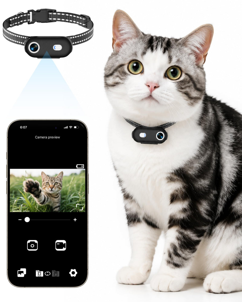 Cat Camera Collar with Phone App D667117