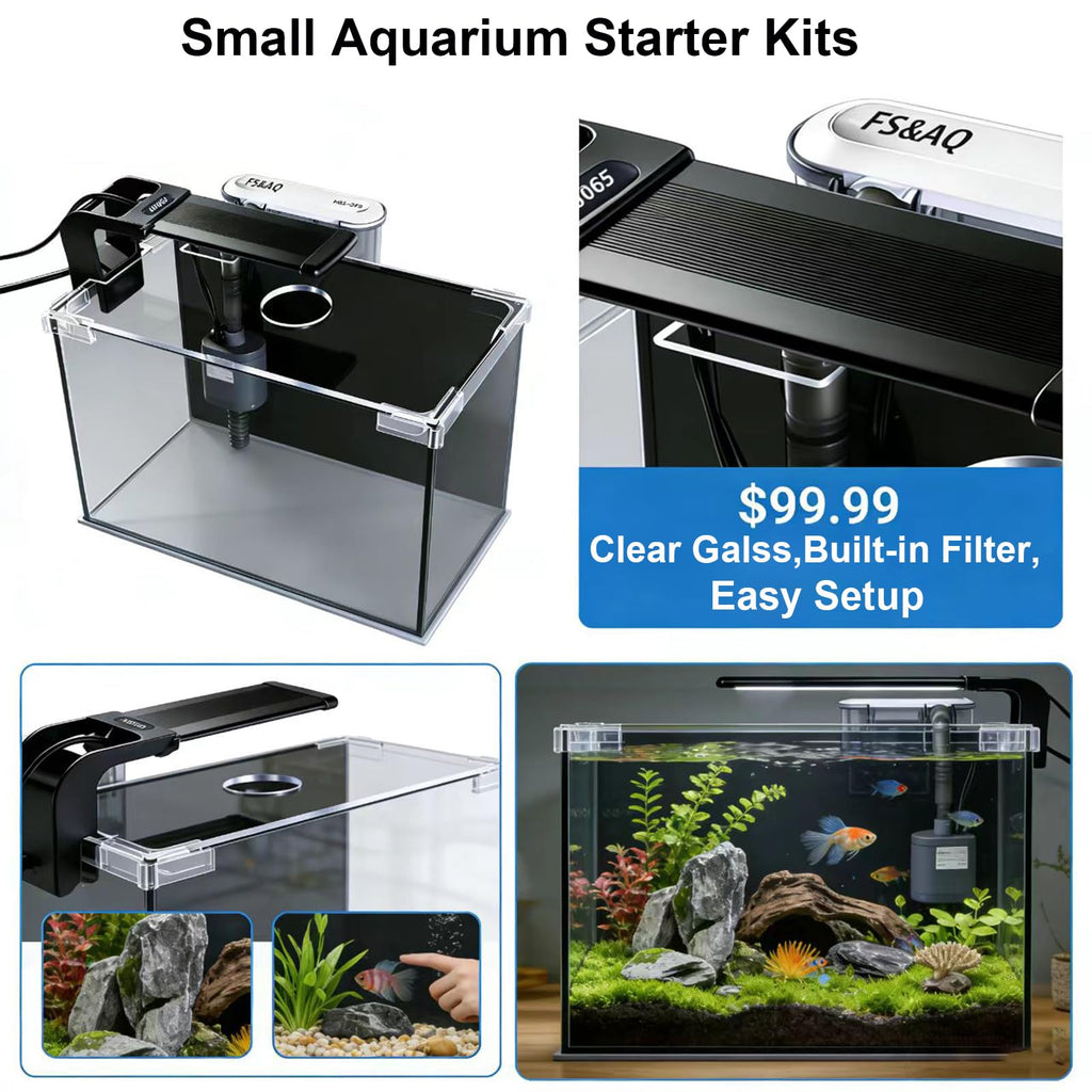 2.5 Gallon Betta Fish Tank with Filter Light and Lid T6598