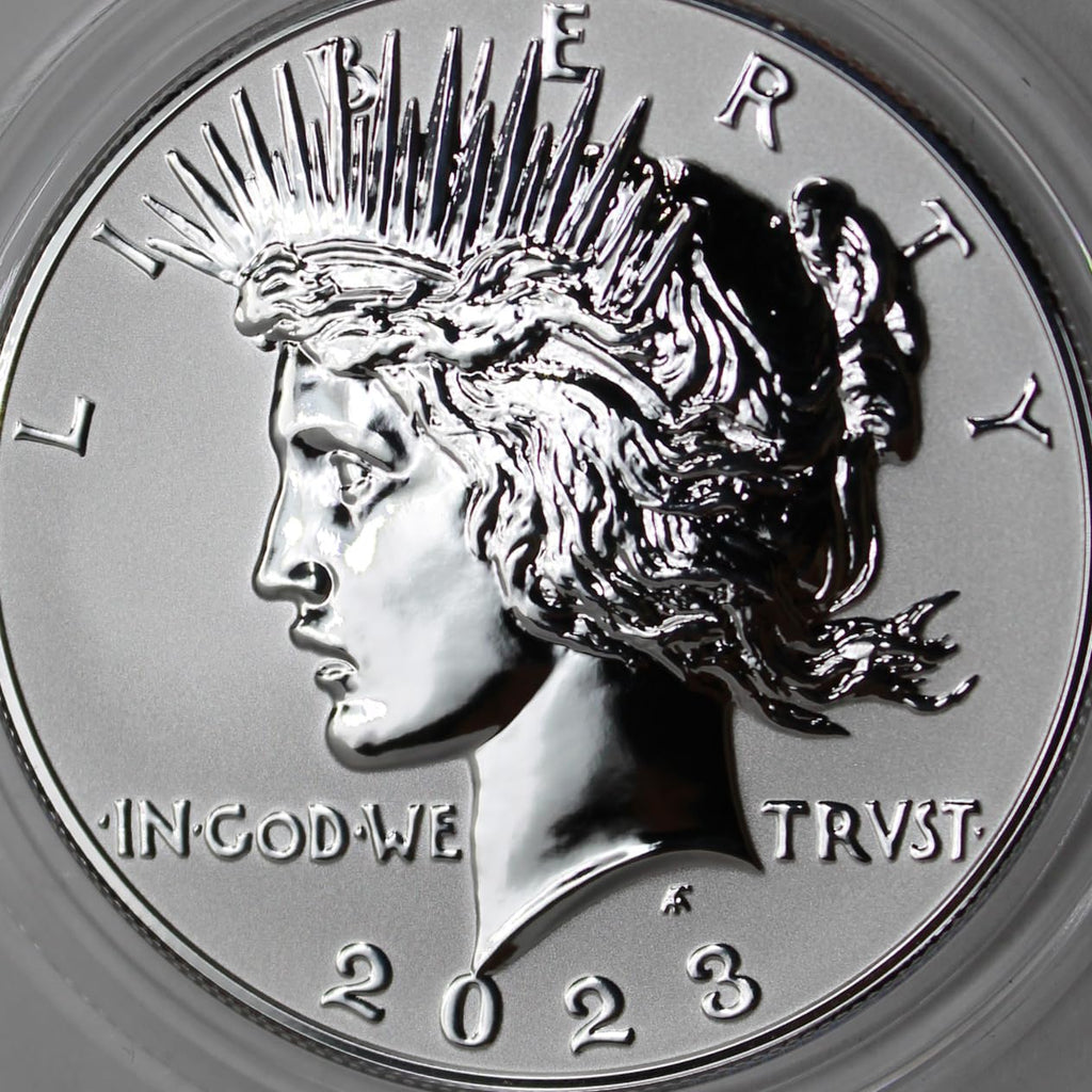American Silver Morgan and Peace Dollar $1 S282