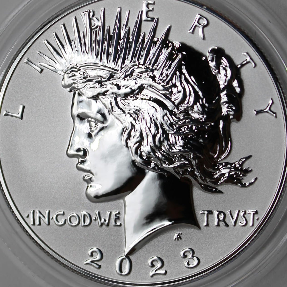 American Silver Morgan and Peace Dollar $1 S282