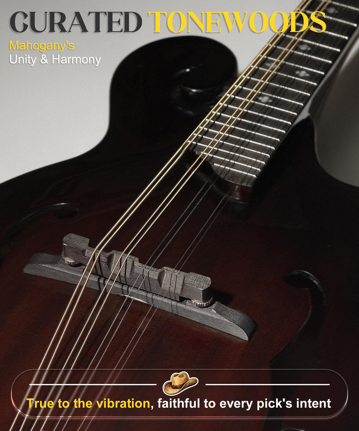 Hand-Carved Mahogany Acoustic Mandolin with Padded Bag X941960