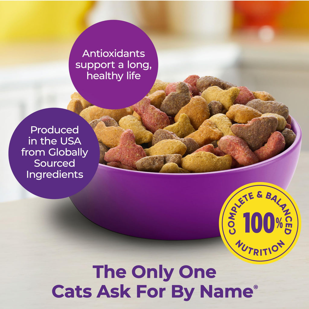 Dry Cat Food and Wet Cat Food Variety Pack J547