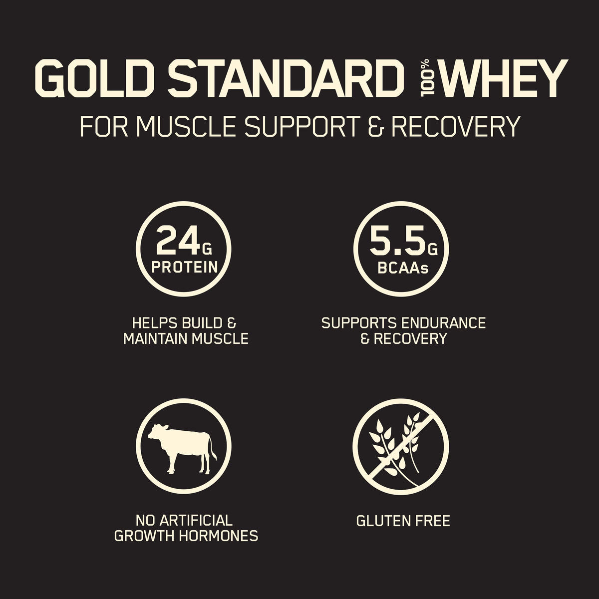 Double Rich Chocolate Whey Protein Powder with Unflavored Creatine Monohydrate V8699